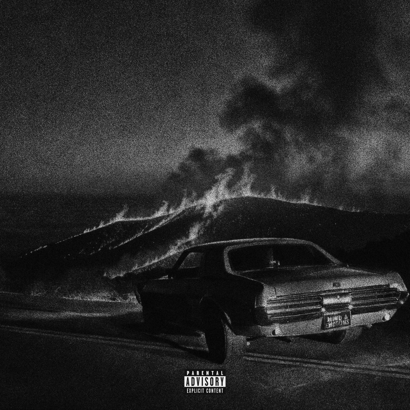 MIND & EMOTIONS artwork